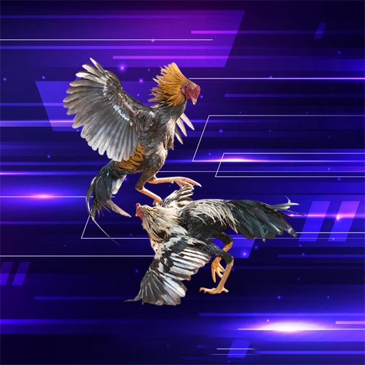 Đá gà s88bet
