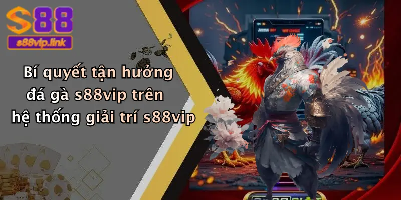 Bí quyết tận hưởng đá gà s88vip trên hệ thống giải trí s88vip