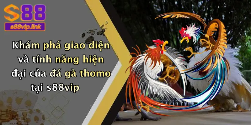 Khám phá giao diện và tính năng hiện đại của đá gà thomo tại s88vip