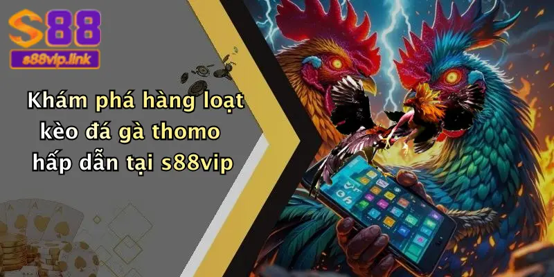 Khám phá hàng loạt kèo đá gà thomo hấp dẫn tại s88vip