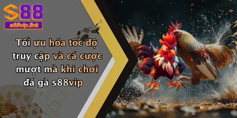 Tối ưu hóa tốc độ truy cập và cá cược mượt mà khi chơi đá gà s88vip
